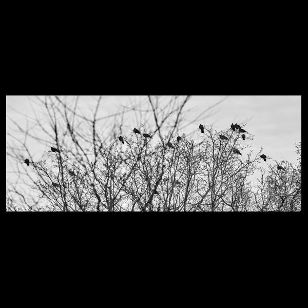 PHOTO84, CLUB, 84 , LUBERON